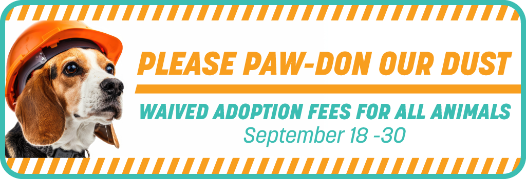 Please Pardon Our Dust - Animal Adoption Fees Are Waived until September 30