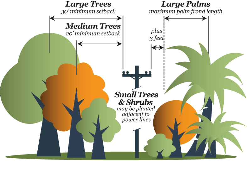 Tree Sizes